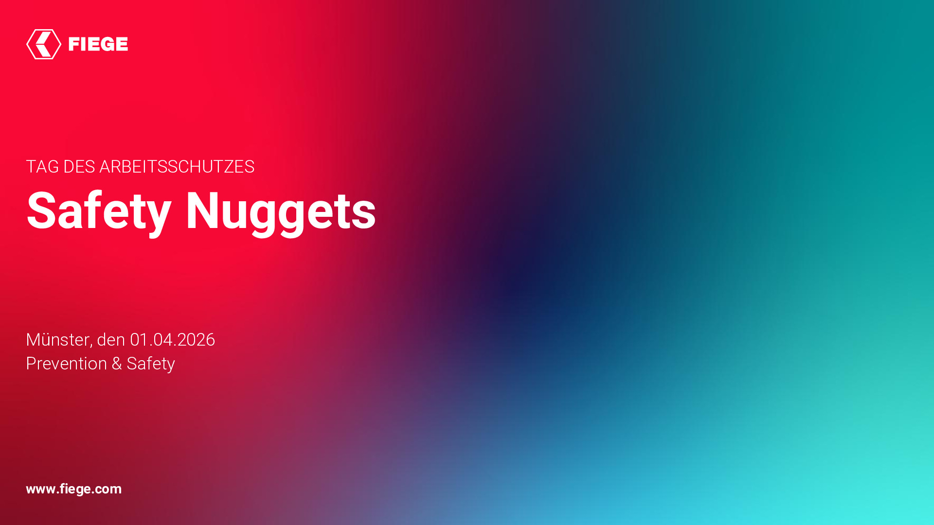 Safety Nuggets (DE).pdf